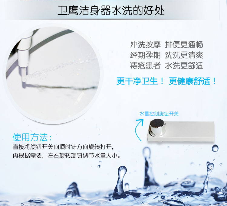 衛鷹潔身器