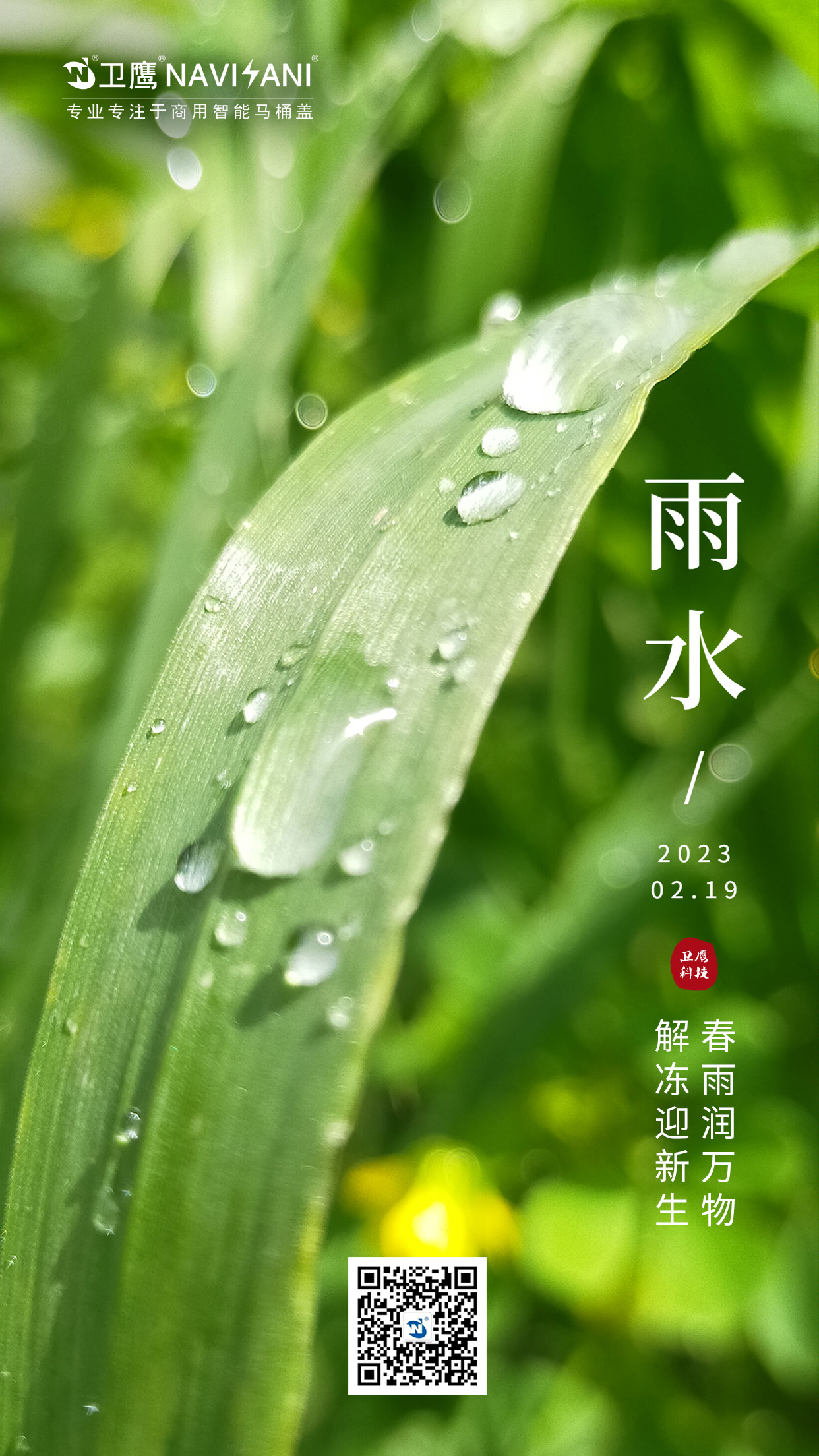 衛鷹