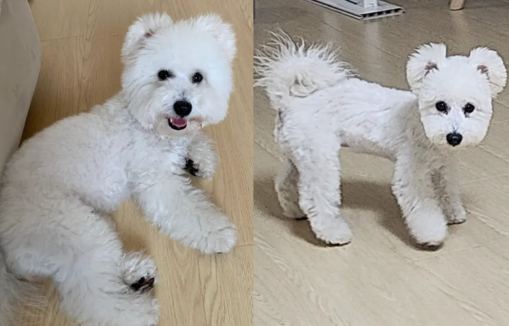 理發