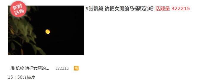 張凱毅 請把女廁的馬桶取消吧